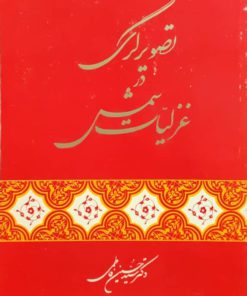 تصویرگری در غزلیات شمس نوشته سید حسین فاطمی