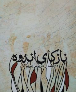 نازکای اندوه ( 12 قطعه از داریوش پیرنیاکان)