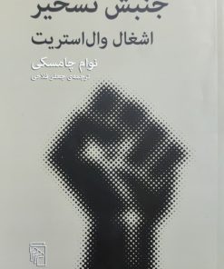 جنبش تسخیر اشغال وال استریت نوشته نوام چامسکی