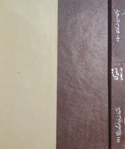 مثنوی واله-سلطان نوشته میرشمس الدین فقیر دهلوی