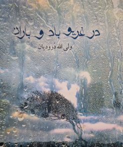در غریو باد و باران نوشته ولی الله درودیان