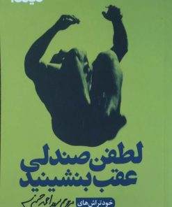 لطفن صندلی عقب بنشینید اثر سید احمد حسینی