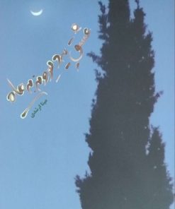 عشق یه دیوونه به ماه اثر مینا ارشدی
